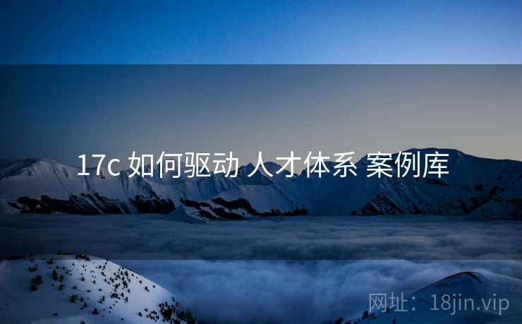 17c 如何驱动 人才体系 案例库