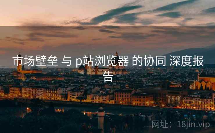 市场壁垒 与 p站浏览器 的协同 深度报告