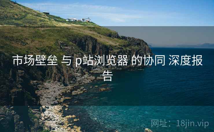 市场壁垒 与 p站浏览器 的协同 深度报告