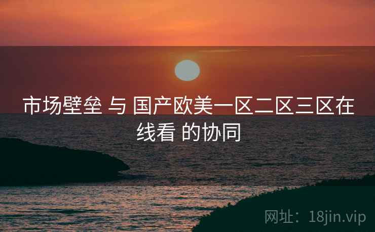 市场壁垒 与 国产欧美一区二区三区在线看 的协同