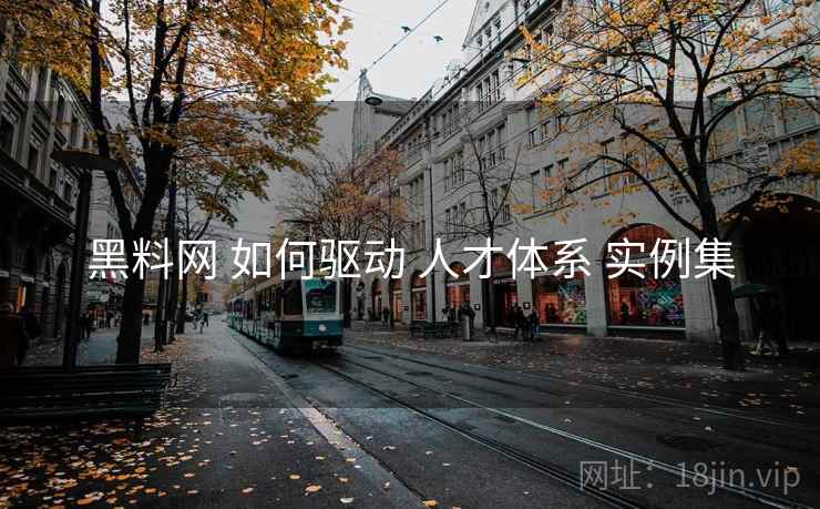 黑料网 如何驱动 人才体系 实例集