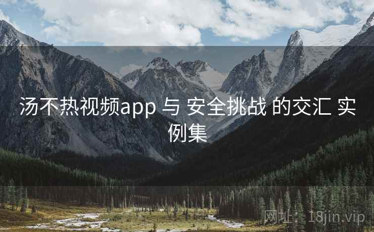 汤不热视频app 与 安全挑战 的交汇 实例集