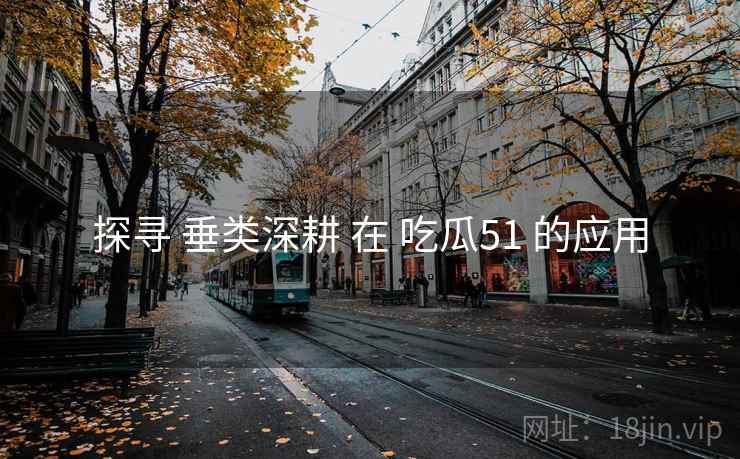 探寻 垂类深耕 在 吃瓜51 的应用