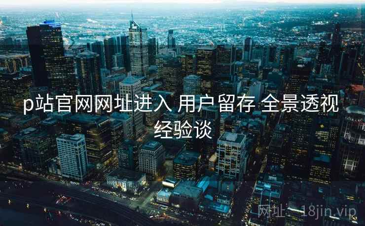 p站官网网址进入 用户留存 全景透视 经验谈