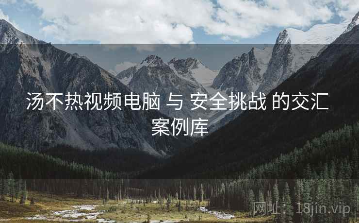 汤不热视频电脑 与 安全挑战 的交汇 案例库