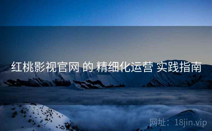 红桃影视官网 的 精细化运营 实践指南