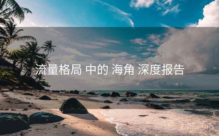 流量格局 中的 海角 深度报告