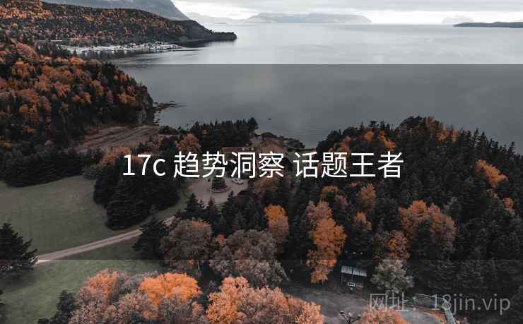 17c 趋势洞察 话题王者