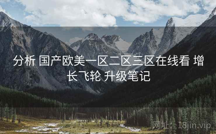 分析 国产欧美一区二区三区在线看 增长飞轮 升级笔记