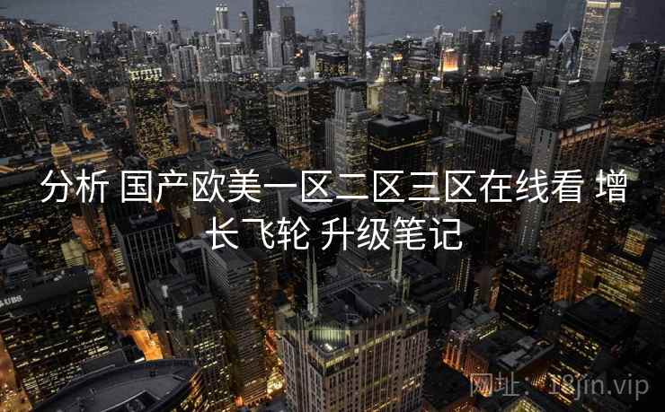 分析 国产欧美一区二区三区在线看 增长飞轮 升级笔记