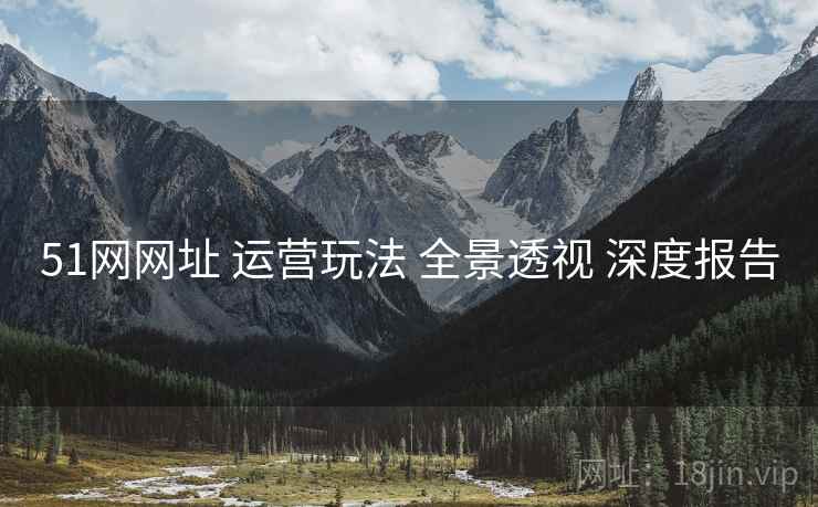 51网网址 运营玩法 全景透视 深度报告