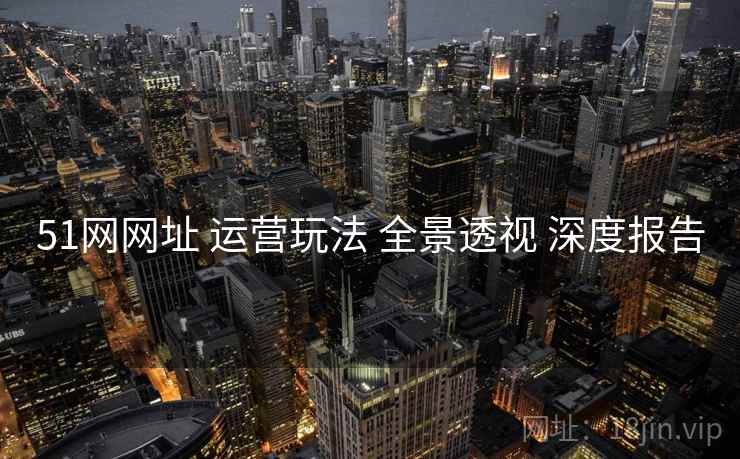 51网网址 运营玩法 全景透视 深度报告