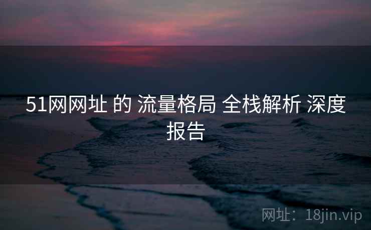 51网网址 的 流量格局 全栈解析 深度报告