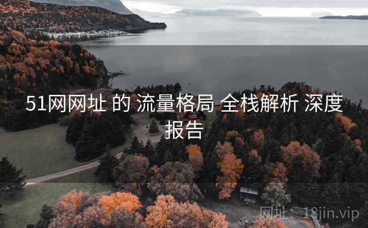 51网网址 的 流量格局 全栈解析 深度报告