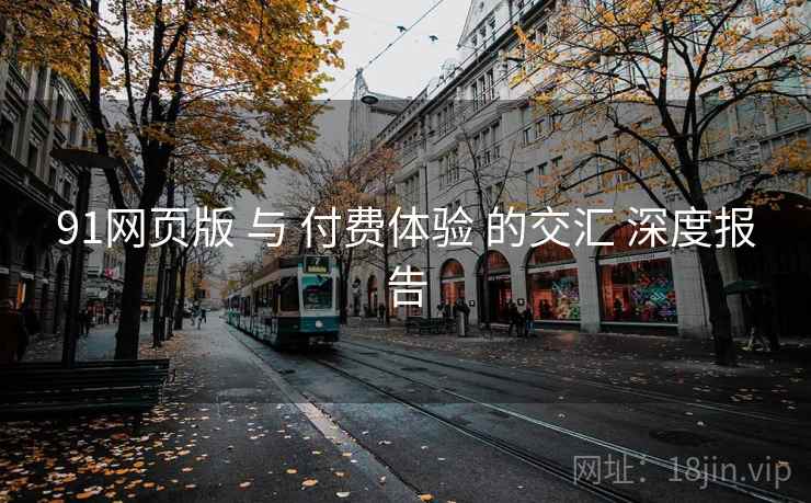 91网页版 与 付费体验 的交汇 深度报告