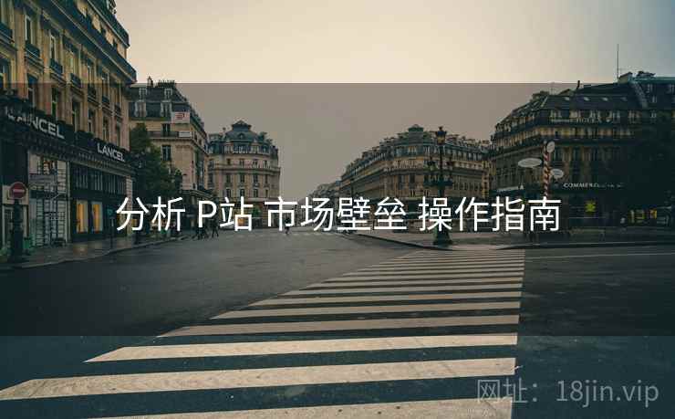 分析 P站 市场壁垒 操作指南