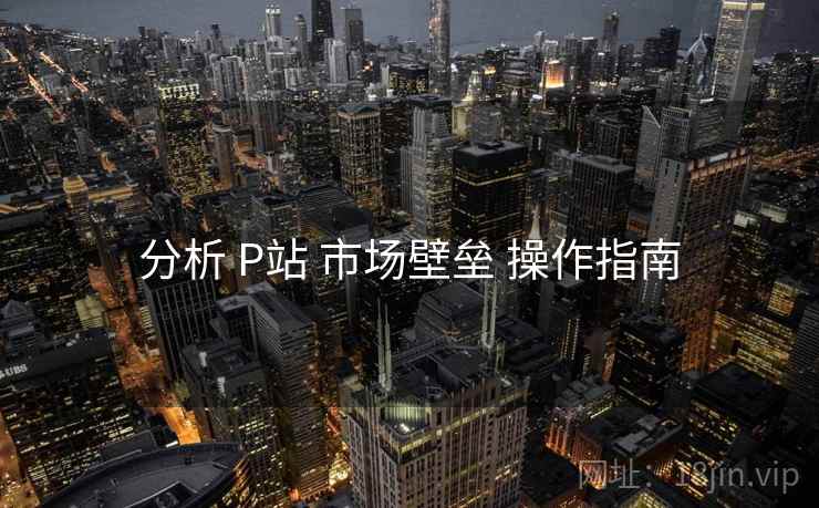 分析 P站 市场壁垒 操作指南