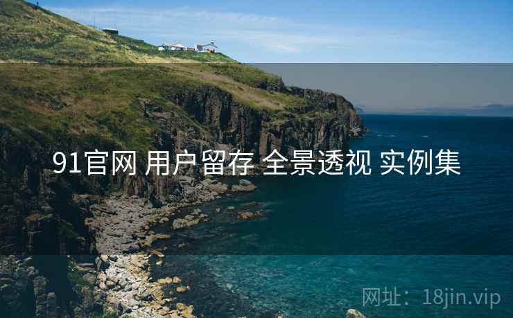 91官网 用户留存 全景透视 实例集