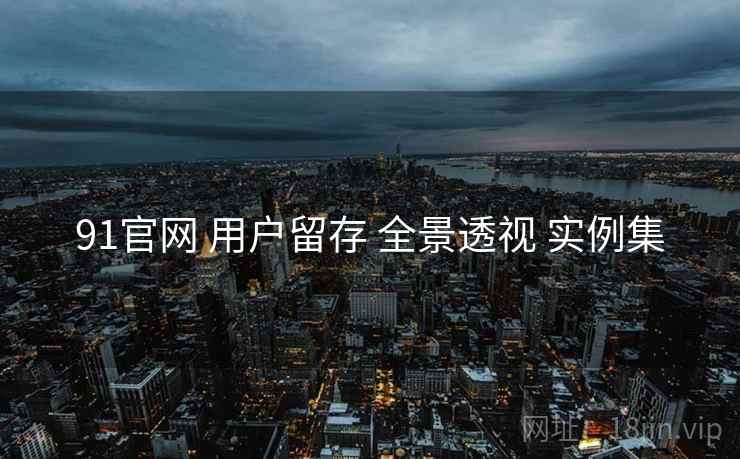 91官网 用户留存 全景透视 实例集
