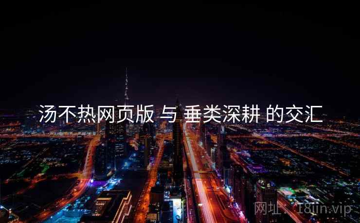 汤不热网页版 与 垂类深耕 的交汇