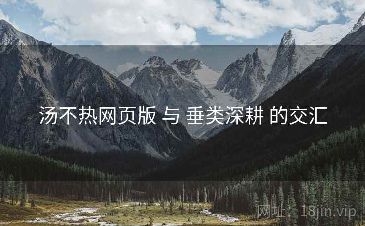 汤不热网页版 与 垂类深耕 的交汇