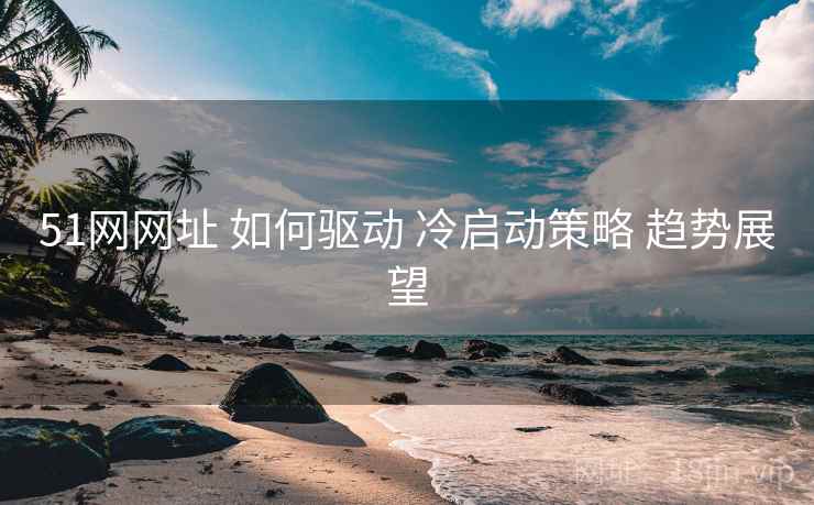51网网址 如何驱动 冷启动策略 趋势展望